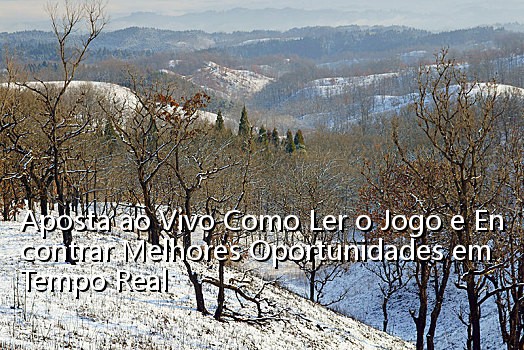 Aposta ao Vivo Como Ler o Jogo e Encontrar Melhores Oportunidades em Tempo Real_0420