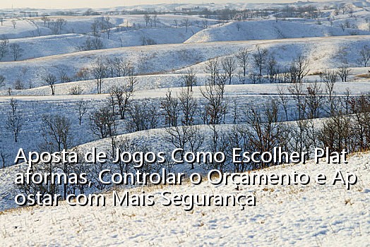 Aposta de Jogos Como Escolher Plataformas, Controlar o Orçamento e Apostar com Mais Segurança